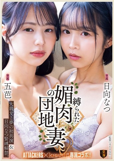 Poster 2