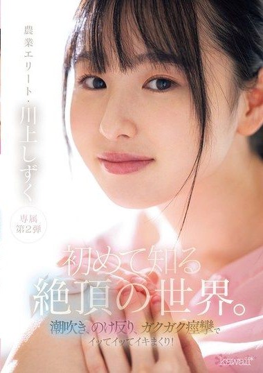 Poster 2